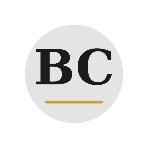 Bolem Chimney Repair logo